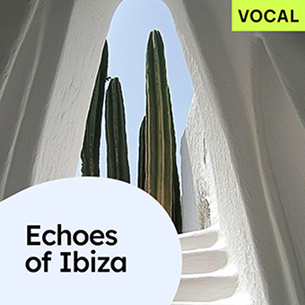 Pet Shop Boys album cover